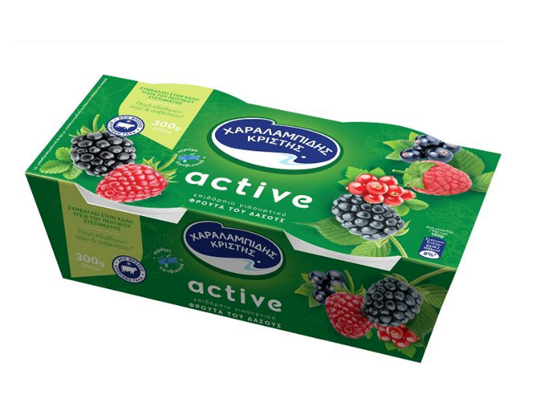 View details of active Dessert Yoghurt with forest fruit flavor and fibers Charalambides Christis